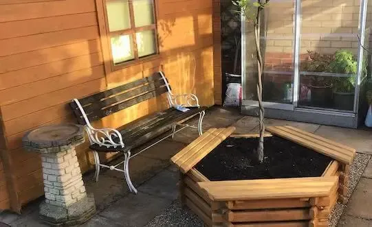 Garden transformation